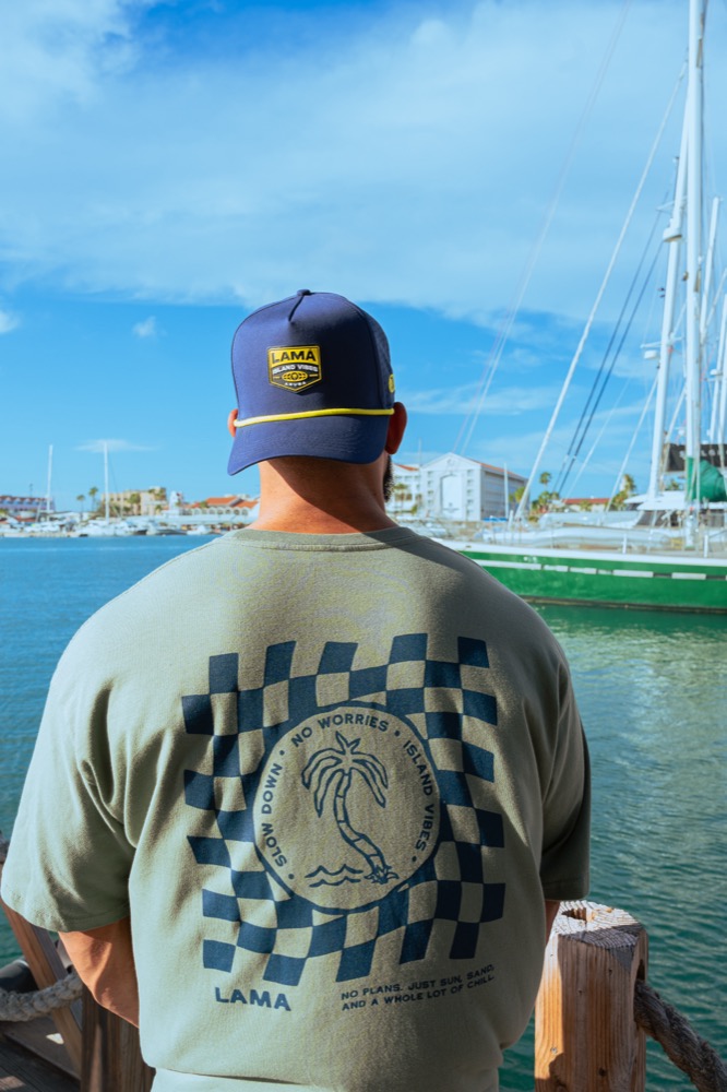 LAMA looking forward