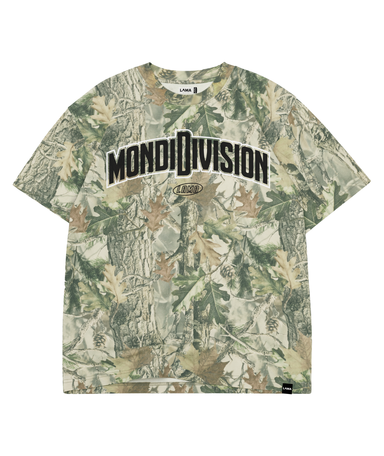 Mondi Division
